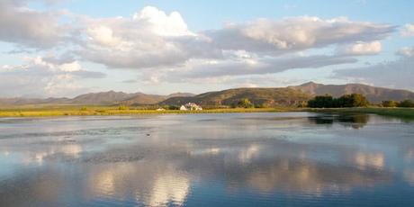 The Robertson Valley Excelsior Wine Estate