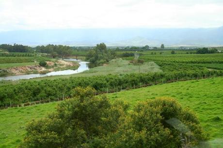 The Robertson Valley The Breede river