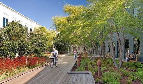 The Coolest Offices In The World The Coolest Offices In The World