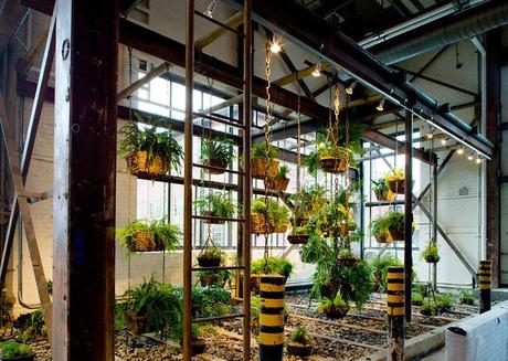 The Coolest Offices In The World The Coolest Offices In The World