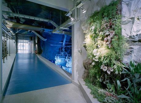 The Coolest Offices In The World The Coolest Offices In The World