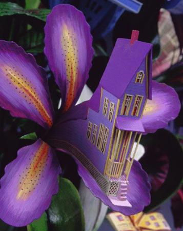james-grashow-houseplants james-grashow-houseplants