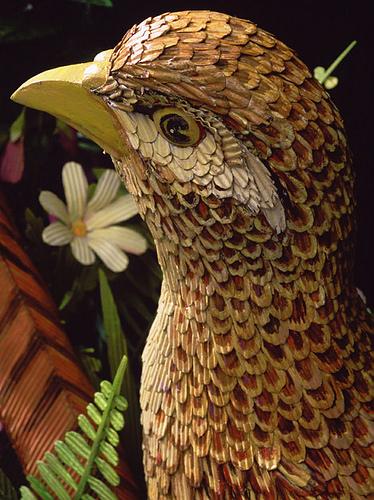 james-grashow-cardbirds james-grashow-cardbirds