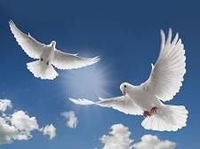 Bat Ye'or and Barack Obama doves1