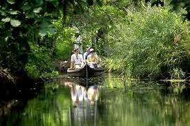 Top Backwater Destinations in Kerala to Rejuvenate Yourself Top Backwater Destinations in Kerala to Rejuvenate Yourself