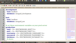 MongoDB Integration with RAILS