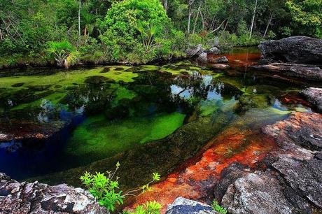 La Caristales : Rivière aux cinq couleurs Cool-and-unusual-colours-in-nature-L-d5vJO8