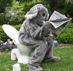 Putting the ‘science’ in citizen science How to tell if a koala has been in your garden. © Great Koala Count