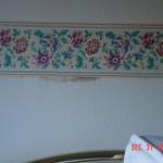 Have you read the news lately about bugs? probestpestmanagementDSC05370