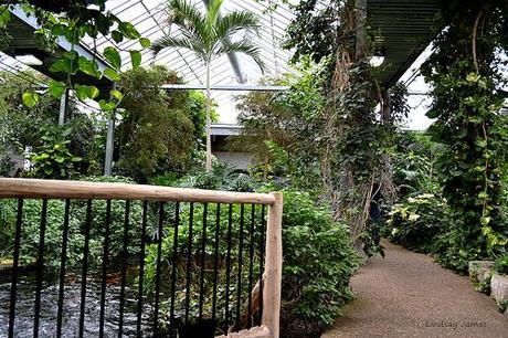 Cambridge Butterfly Conservatory