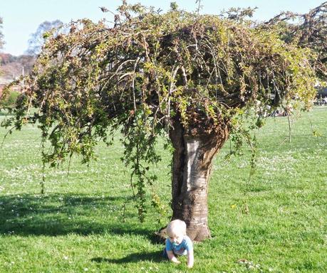 Life Lately.... Life Lately....