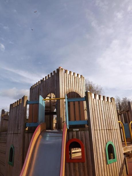 Life Lately.... Life Lately....