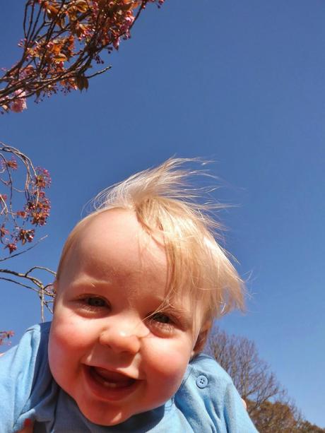 Life Lately.... Life Lately....