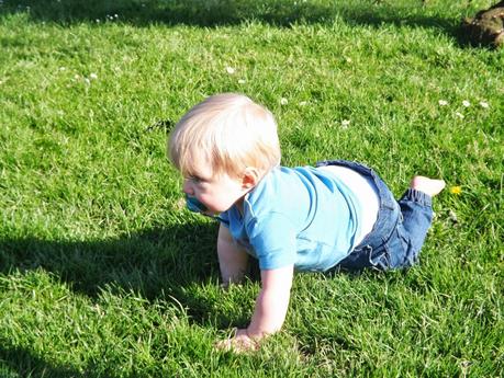 Life Lately.... Life Lately....