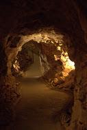 It’s not always about the Bed Bugs, how about visiting Arizona? Caves tunnel