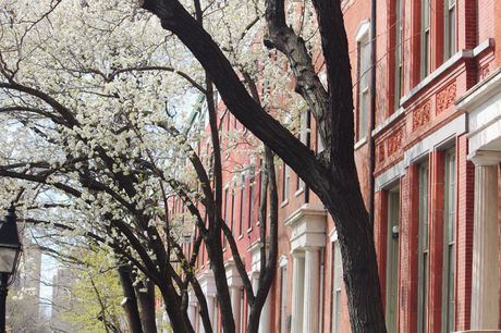 Spring in the City | Photo Diary Spring in the City | Photo Diary