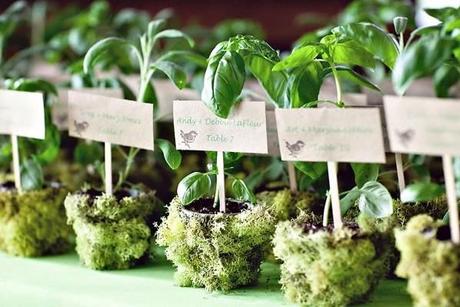 Environmentally Friendly Wedding Details Environmentally Friendly Wedding