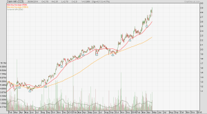 Hits and misses osim