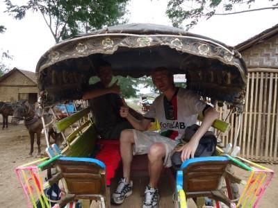 My Top 25 Alternative Types of Transport Around the World inwa myanmar horse