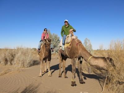 My Top 25 Alternative Types of Transport Around the World camel riding iran