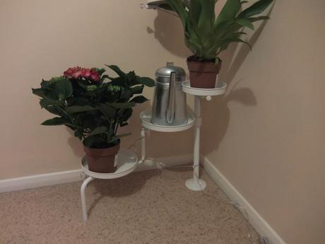 Indoor Gardening Courtesy of IKEA 2014_05010017