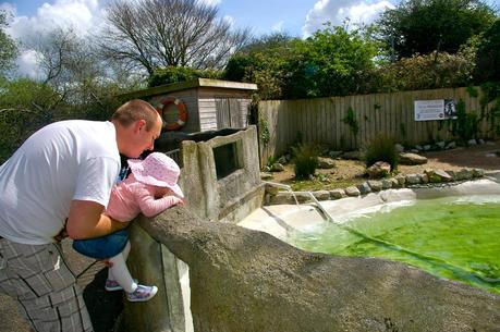 Our Parkdean holiday review! Our Parkdean holiday review!