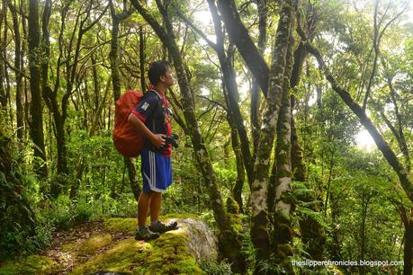 Getting High at Mount Apo