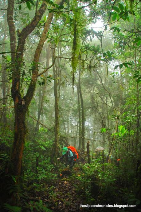 Getting High at Mount Apo