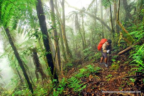 Getting High at Mount Apo