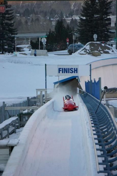 Bobsled in motion