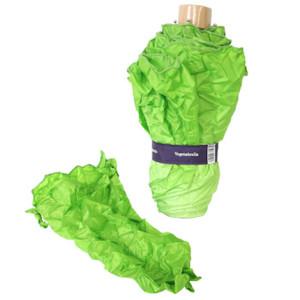 Vegetabrella for Some Spring Rain 3