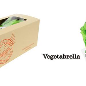 Vegetabrella for Some Spring Rain 1