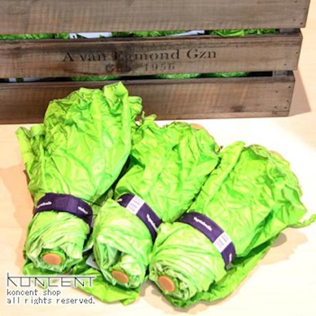 Vegetabrella for Some Spring Rain 5