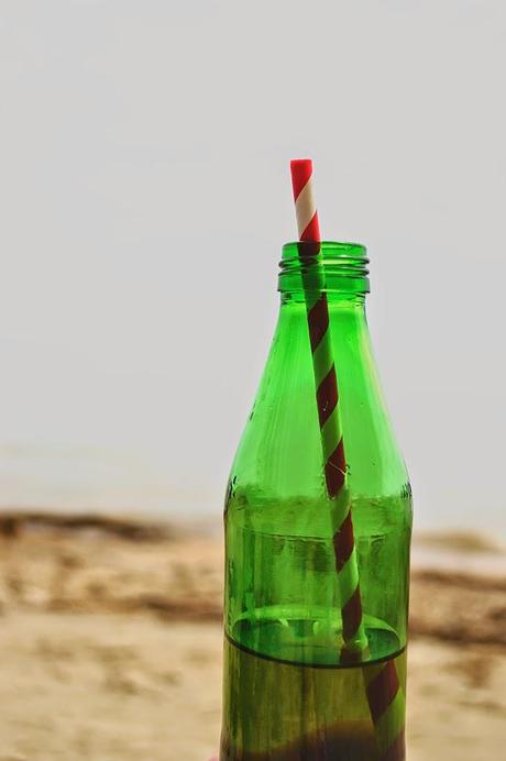 Beach Treat- Ten Calorie Soda