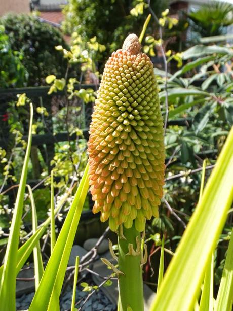 The Three Pokers The Three Pokers