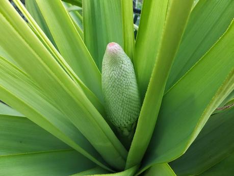 The Three Pokers The Three Pokers