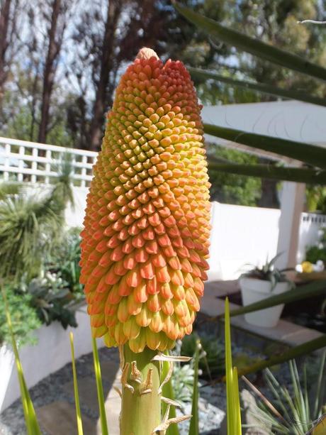 The Three Pokers The Three Pokers