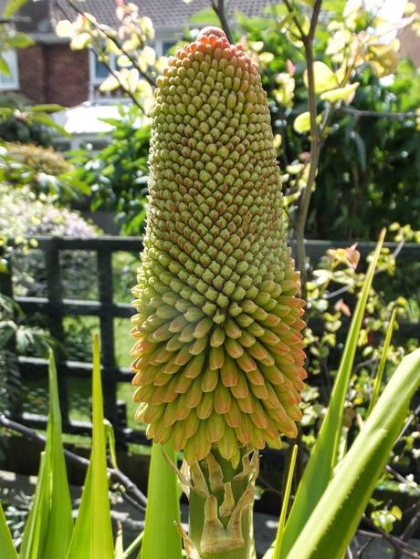 The Three Pokers The Three Pokers