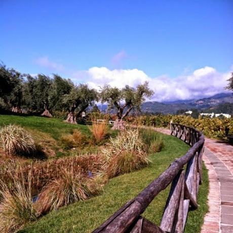 IG Travel Thursday IG Travel Thursday