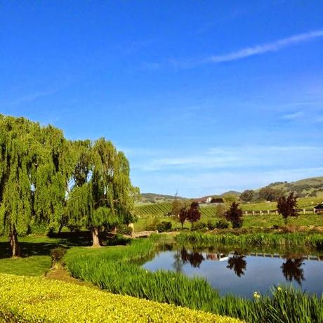 IG Travel Thursday IG Travel Thursday