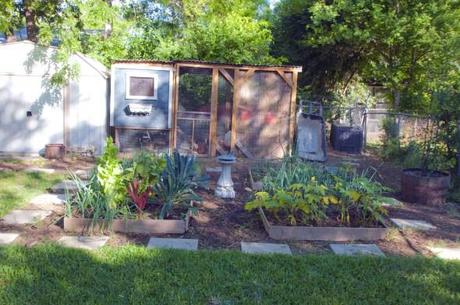 raised beds and chicken coop