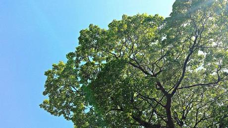 All on a Sunny Weekend All on a Sunny Weekend