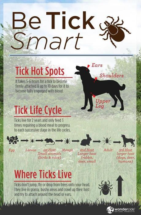 Annihilating Dog Ticks