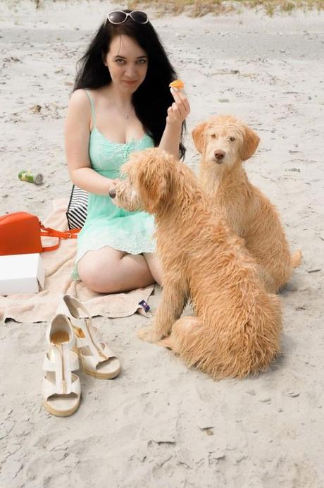 sage_teal_guess_dress_puppies_beach_3