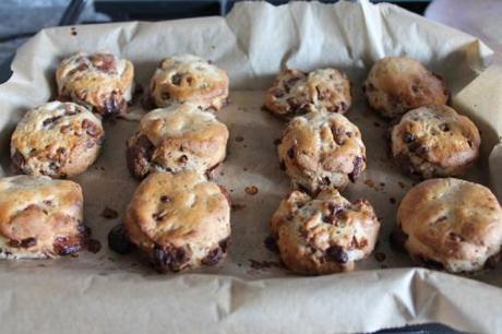 Chocolate Scones IMG_1860