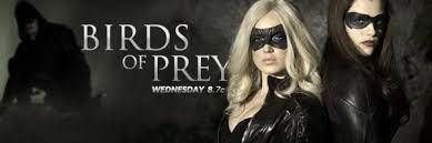 Let’s Discuss Why Guardians of the Galaxy is Giving us a Talking Raccoon & Tree Before Anyone Gives Us a Female Superhero Movie Birds of Prey