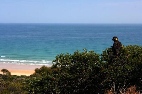IMG_5597 IMG_5597