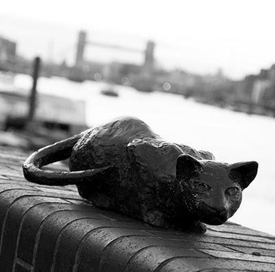Dr Salter's Daydream stolen Dr Salter's Daydream stolen