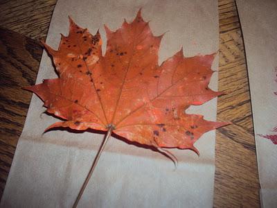 Thanksgiving!!! Thanksgiving!!!