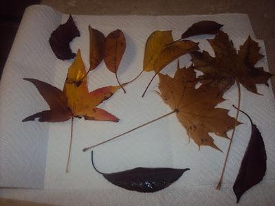 Thanksgiving!!! Thanksgiving!!!